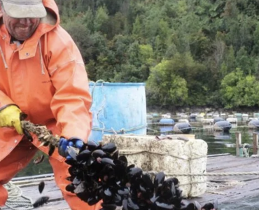 INCAR marcará presencia en Foro Iberoamericano de Recursos Marinos y Acuicultura